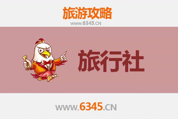 泰安东平旅行社精选推荐：地道体验与无忧之旅